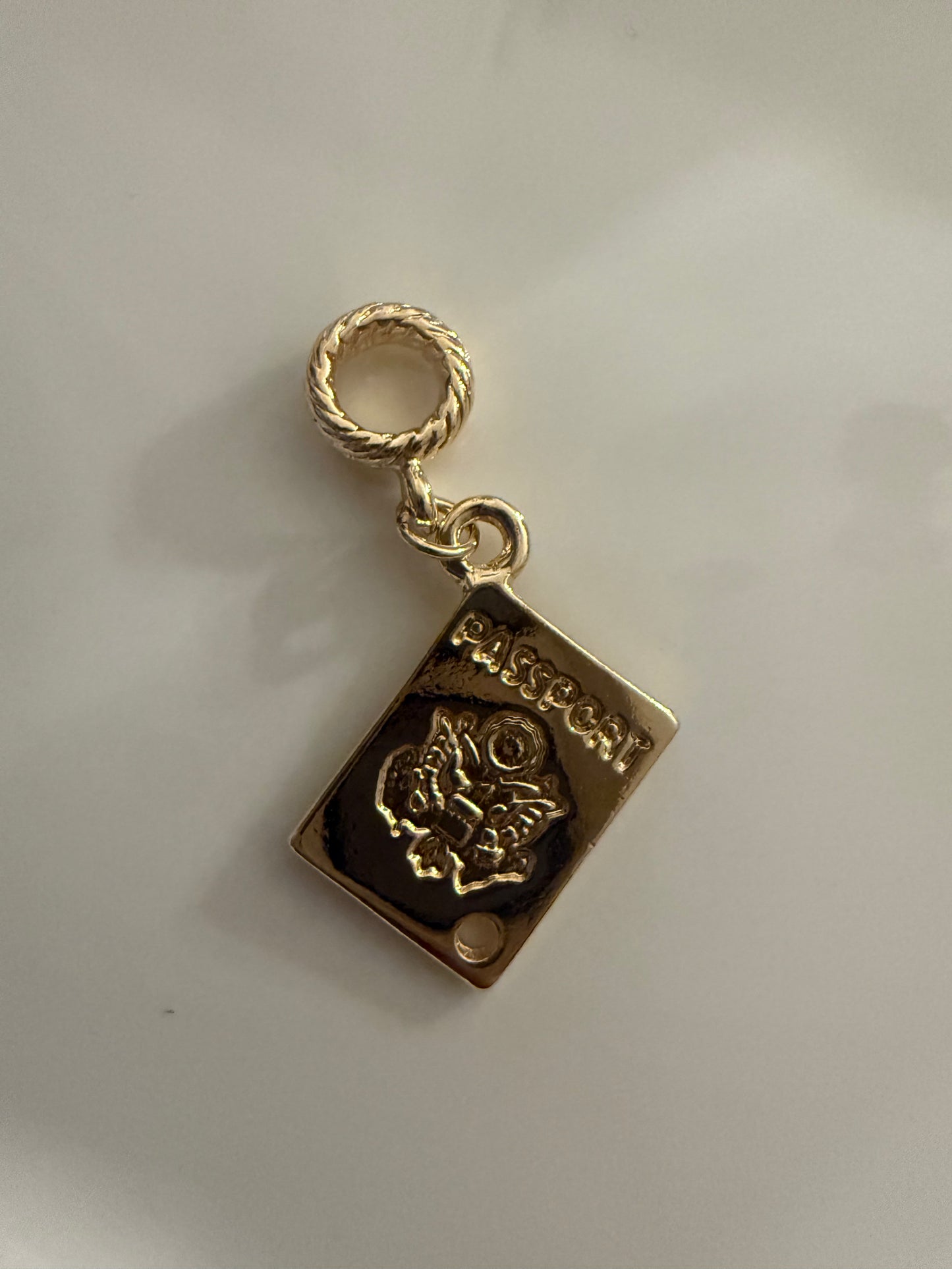 World traveler Charm